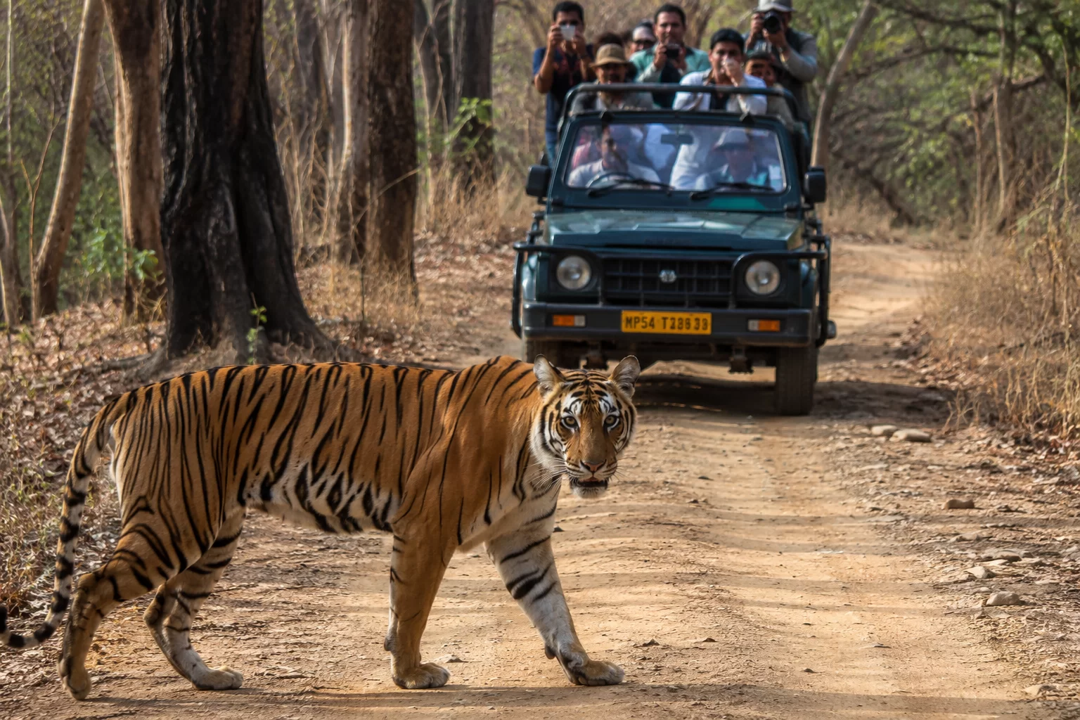 kanha national park