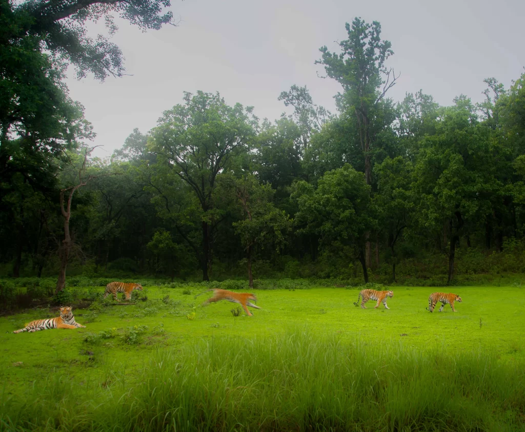 Mukki zone tour package