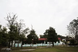Resorts Near Khatia Gate in Kanha for Safari Stay