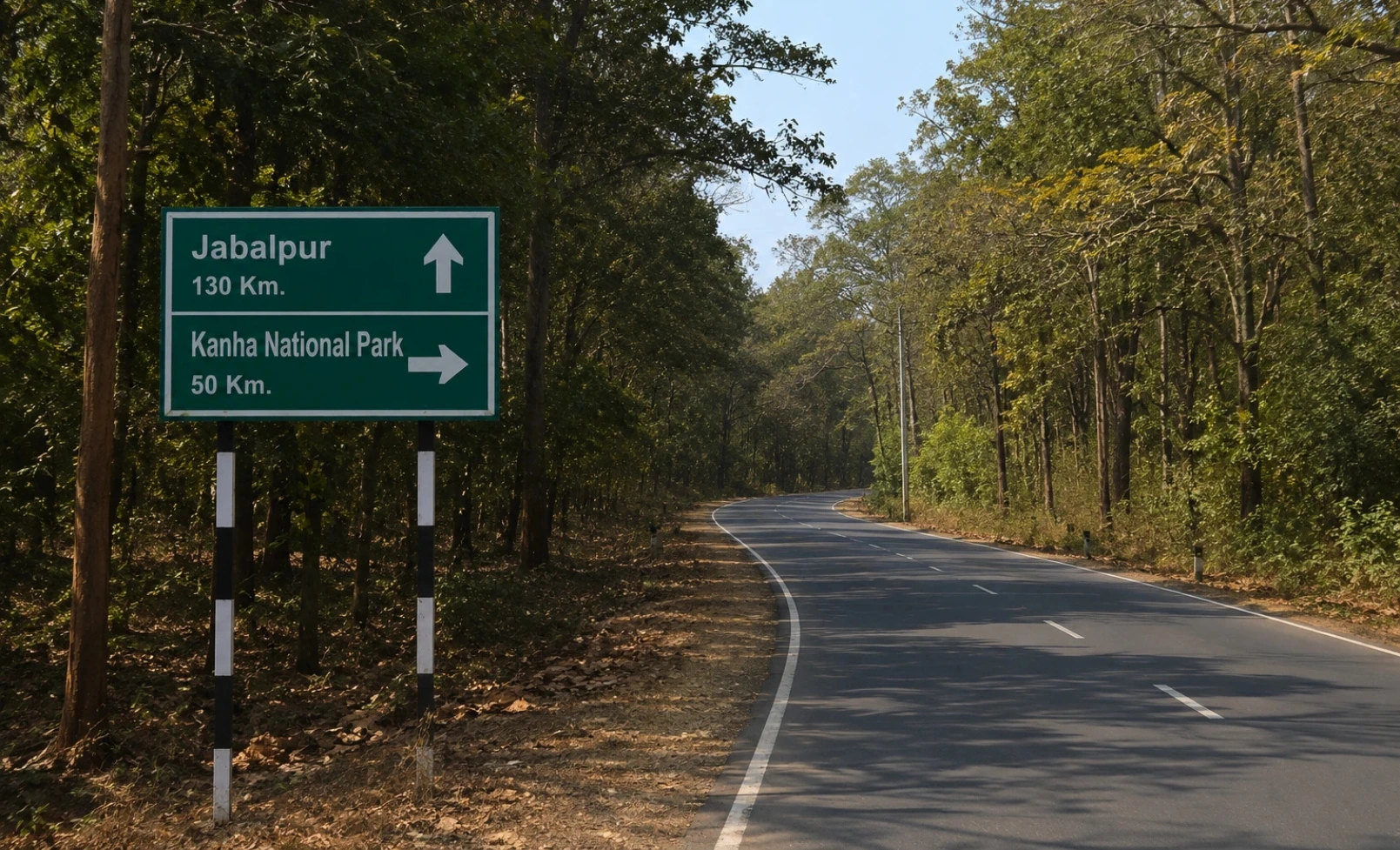 Jabalpur to Kanha National Park Distance